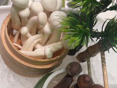 -洪氏嗨捞·广东猪肚鸡·椰子鸡火锅(西咸万象城店)