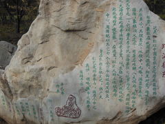 -紫竹院公园冰场