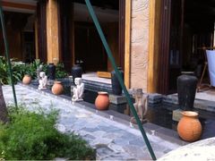 iphone_upload_pic-三亚湾红树林度假世界(木棉酒店)