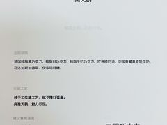 -BLACKSWAN黑天鹅(环球店)