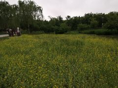景点-北坞公园