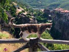 -梅黛奥拉修道院