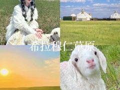 -希拉穆仁草原