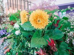 -FLOVIE FLORIST CAFE