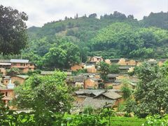-杨家堂村