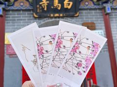 -洛阳白马寺