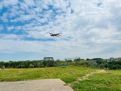 -空港花田景区