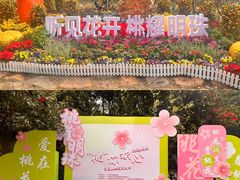 -桃花涧