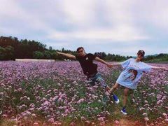 -北京东方普罗旺斯薰衣草庄园