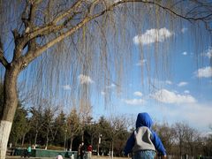 -大兴滨河森林公园