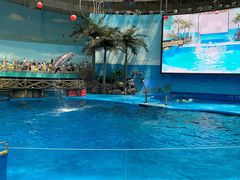-海合安成都极地海洋公园