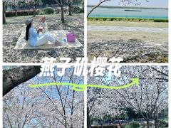 -幕燕滨江·燕子矶公园