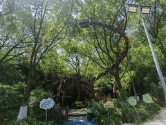 -杭州少年儿童公园