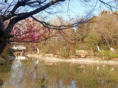 -平湖九龙山旅游度假区