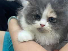 -佳雯宠物医院·皮肤科·内外科(春晓路分院)