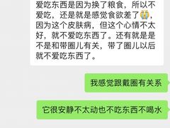 -宠福鑫动物医院(城北分院)