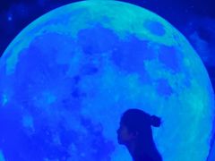 -重庆梵高星空艺术馆(解放碑旗舰店)