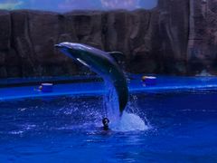 -华夏文旅西安度假区