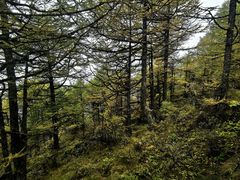 -秦岭风景区