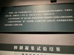 -荆州博物馆