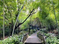 -杭州半山国家森林公园