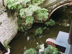 -鱼桥巷·美学川菜