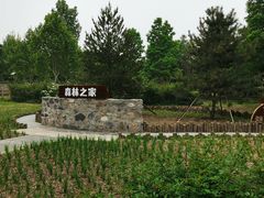 -老君堂公园