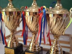 -陈中跆拳道(中关村馆)