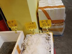 -厦门轮渡码头