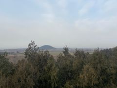 -茂陵博物馆