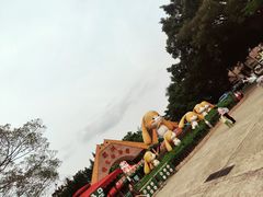 -深圳野生动物园