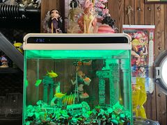 -小二楼炖肠