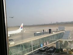 -郑州新郑国际机场-T2航站楼