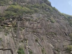 -王顺山国家森林公园