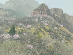 -红旗渠风景区