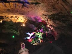 -寻龙山风景旅游区