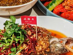 -杨氏青龙虾·羊蝎子(托乐嘉店)