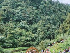 -鼓岭旅游度假区