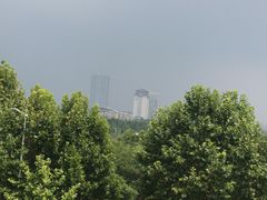 -黄海国家森林公园