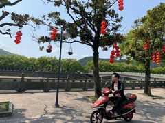 -蒋氏故居
