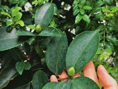 -Beans Solo豆号咖啡(百家湖花园店)
