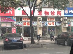 IMG_4248-甄爱宠物医院(疏影路店)