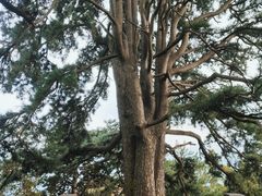 -终南山南五台景区