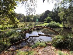 -墨尔本皇家植物园