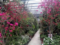 -金科花卉市场