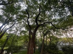 -徐家汇源景区-衡山公园