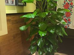 -西贝(六里桥旗舰店)