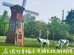 -大宁公园