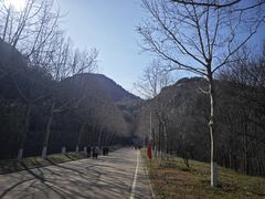 -黄河小浪底水利枢纽风景区