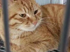 -嘉馨宠物医院·CT影像转诊·心脏科·犬猫全科诊疗中心(下沙大学城院区)